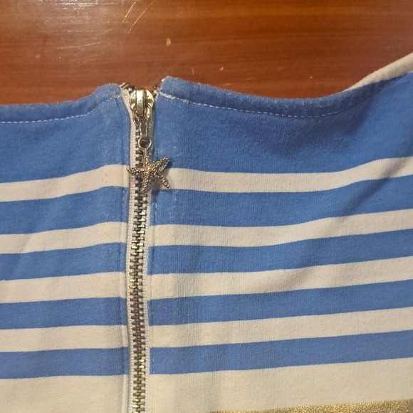 Lilly Pulitzer Striped Blue and Pink  Dress - Picture 5 of 5